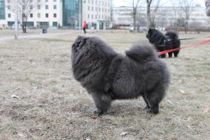 Прикачена снимка