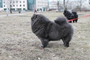Прикачена снимка