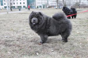 Прикачена снимка