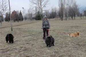 Прикачена снимка