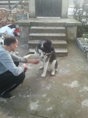 Прикачена снимка
