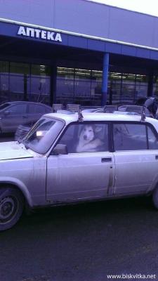 Прикачена снимка