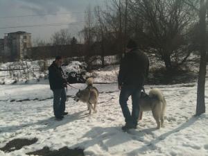 Прикачена снимка