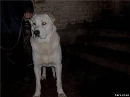 Прикачена снимка