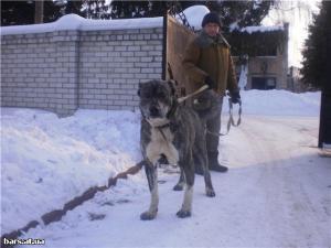 Прикачена снимка