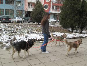Прикачена снимка