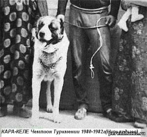 Прикачена снимка