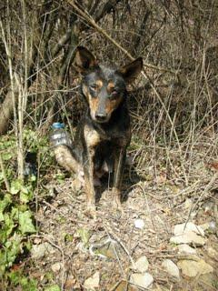 Прикачена снимка