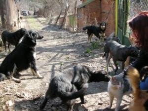 Прикачена снимка