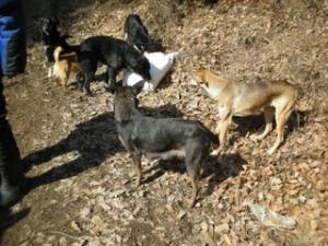 Прикачена снимка