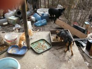 Прикачена снимка