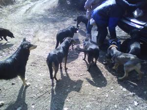 Прикачена снимка