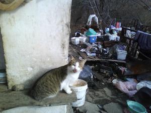 Прикачена снимка