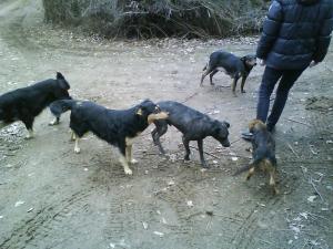 Прикачена снимка