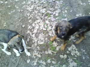 Прикачена снимка