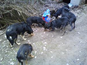 Прикачена снимка