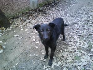 Прикачена снимка