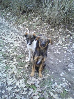 Прикачена снимка