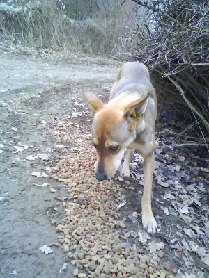 Прикачена снимка