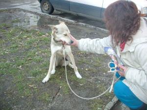 Прикачена снимка