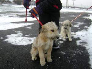 Прикачена снимка
