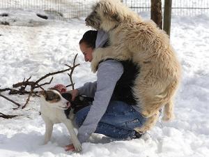 Прикачена снимка