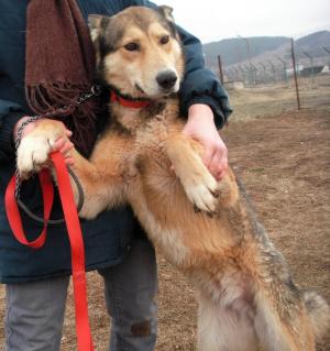 Прикачена снимка