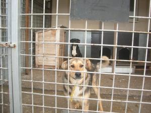 Прикачена снимка