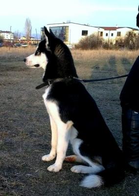 Прикачена снимка
