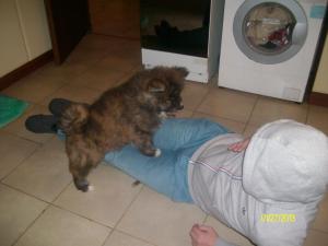 Прикачена снимка