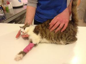 Прикачена снимка