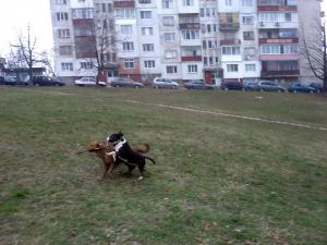 Прикачена снимка