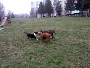 Прикачена снимка