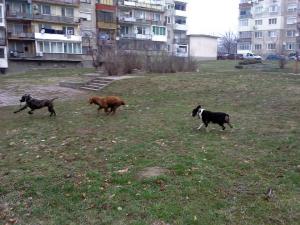 Прикачена снимка