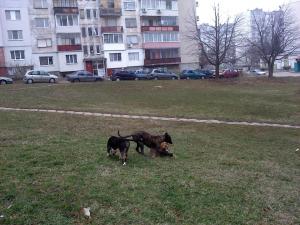 Прикачена снимка