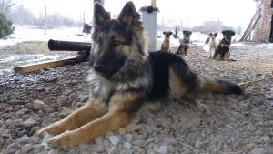 Прикачена снимка