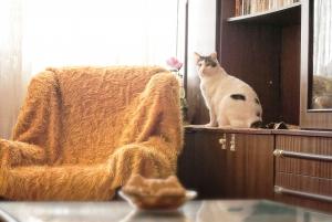 Прикачена снимка