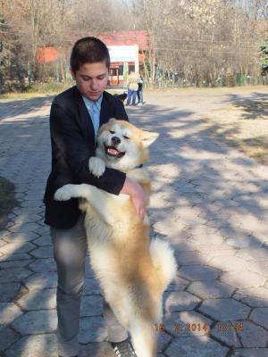 Прикачена снимка