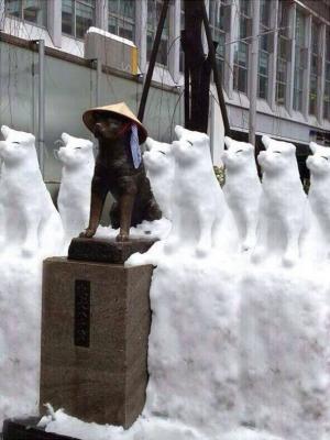 Прикачена снимка