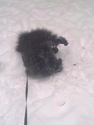 Прикачена снимка
