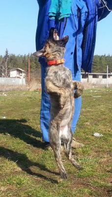 Прикачена снимка