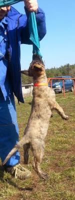 Прикачена снимка