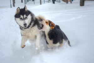 Прикачена снимка