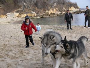 Прикачена снимка
