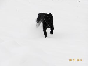 Прикачена снимка