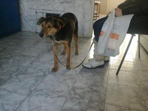 Прикачена снимка