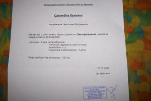 Прикачена снимка