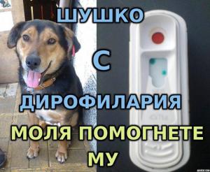 Прикачена снимка