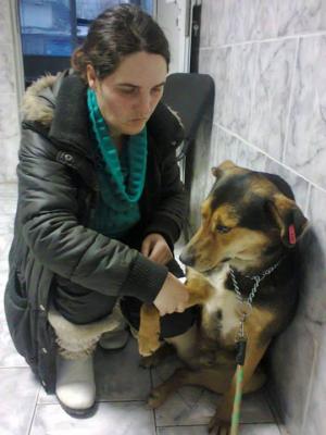 Прикачена снимка