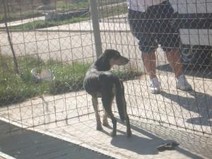 Прикачена снимка